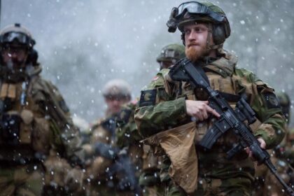 Країни Північної Європи та Балтії озброять і навчать українську бригаду