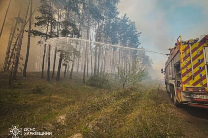 На Харківщині триває ліквідація лісової пожежі