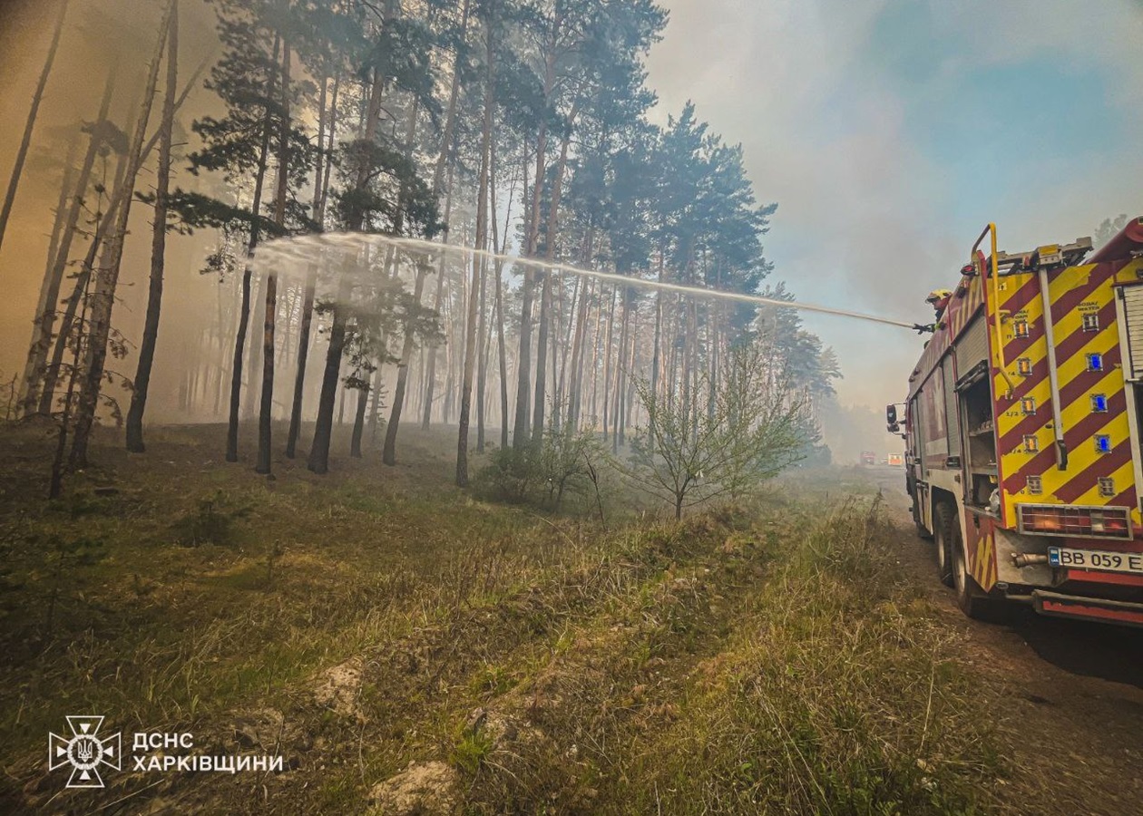 На Харківщині триває ліквідація лісової пожежі