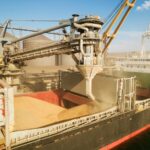 Україна скоротила експорт зерна