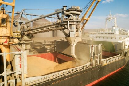 Україна скоротила експорт зерна