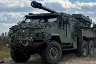 Умеров подякував Данії за «данську модель» постачання озброєння для ЗСУ