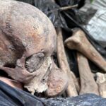 СюжетСкандал у Києві: знайдено 10 тон людських кісток