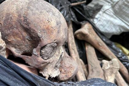 СюжетСкандал у Києві: знайдено 10 тон людських кісток