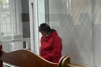 Суд арештував підозрювану в нападі на Стерненка