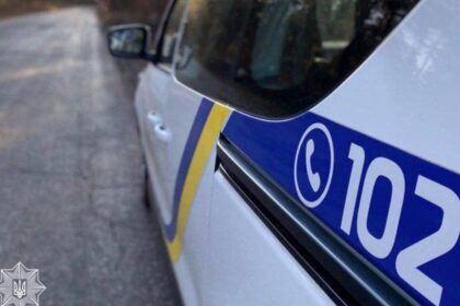 Мешканець Закарпаття отримав підозру за вбивство собаки