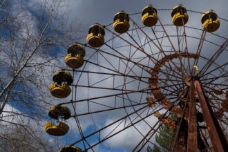 Стало відомо, коли Чорнобильська зона відчуження стане придатною для життя