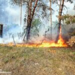 На Харківщині триває ліквідація 11 лісових пожеж