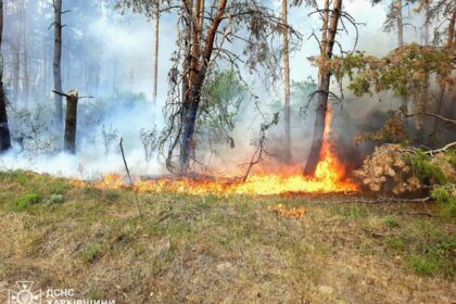 На Харківщині триває ліквідація 11 лісових пожеж