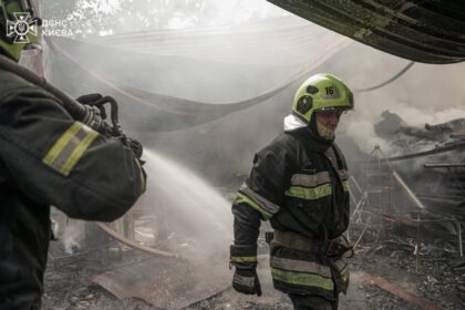 Рятувальники ліквідували пожежу у Гідропарку