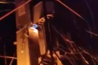 У Підмосков'ї партизани залишили без зв'язку військові об'єкти