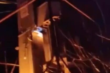 У Підмосков'ї партизани залишили без зв'язку військові об'єкти