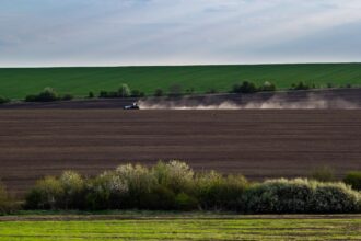 Весняна сівба: аграрії виконали 76% плану
