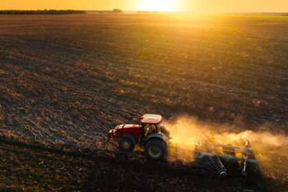 Україна нині засіяла 87% ярих зернових та зернобобових від плану
