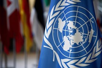 ООН очікує зростання світового ВВП на рівні 2,4%