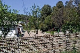 Росіяни вивозять військову техніку з Севастополя - партизани