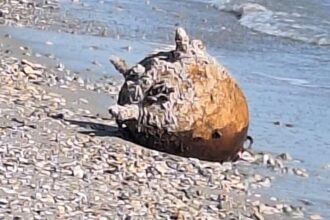 На Одещині знищили російську морську міну