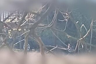 Партизани знищили техніку росіян на Херсонщині