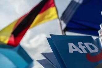 У мінюсті Німеччині розглянуть можливість заборони партії AfD