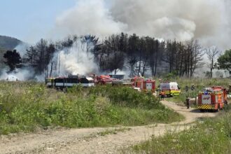 У Південній Кореї розбився військовий літак