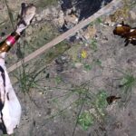 На Київщині чоловік кинув коктейль Молотова в будинок односельця