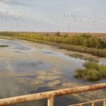 В окупованому Криму запровадили режим надзвичайної ситуації