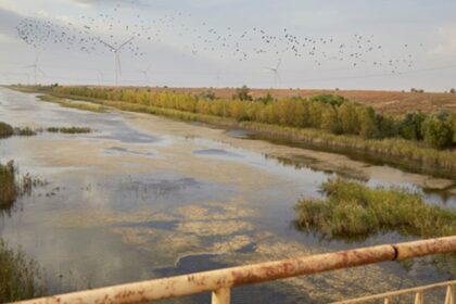 В окупованому Криму запровадили режим надзвичайної ситуації