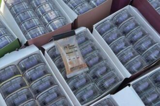 У посилках з Німеччини: викрито канал постачання наркотиків в Україну