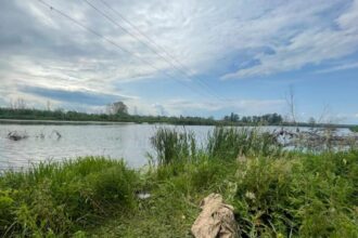 На Київщині чоловік загинув від ураження струмом під час риболовлі