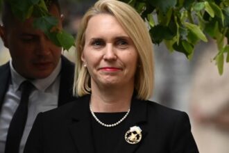 Брінк балотуватиметься до Конгресу США