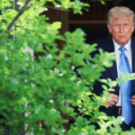 Трамп заявив про укладення договору між Конго і Руандою