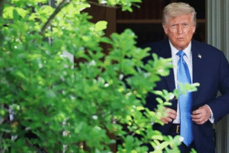 Трамп заявив про укладення договору між Конго і Руандою