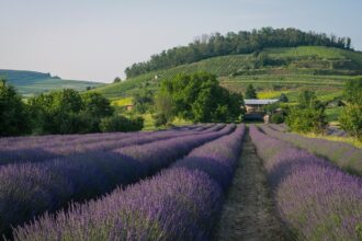 Гороскоп для всіх знаків зодіаку на 27 червня 2025 року
