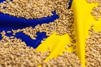 Став відомий найбільший імпортер агропродукції України серед країн ЄС