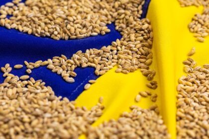 Став відомий найбільший імпортер агропродукції України серед країн ЄС