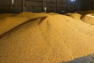 Україна пригрозила санкціями Бангладеш