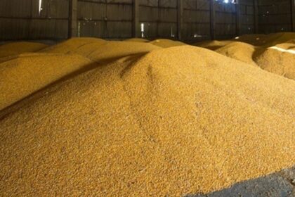 Україна пригрозила санкціями Бангладеш