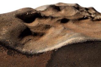 Марсіанський метеорит вагою 25 кг продають на аукціоні Sotheby’s