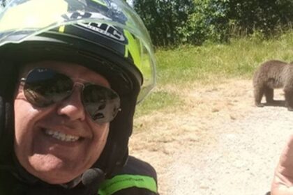 У Карпатах ведмідь загриз туриста після селфі з ним