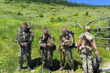 В Карпатах службовий пес допоміг затримати ухилянтів