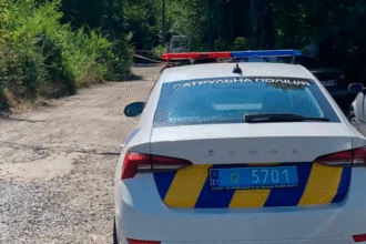 У Кривому Розі чоловік ударив викруткою поліцейського та працівника ТЦК