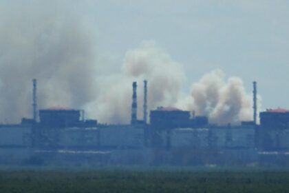Біля Запорізької АЕС помітили сильне задимлення