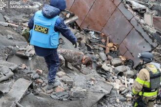 У Запоріжжі зросла кількість постраждалих від російських дронів