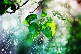 В Україні чергуватимуться грози зі спекою до +37°