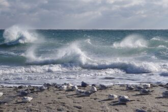 Морську міну винесло на узбережжя Одещини