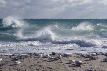Морську міну винесло на узбережжя Одещини
