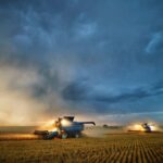 В Україні обмолотили половину засіяних площ ранніх зернових