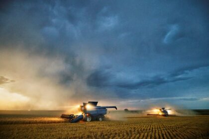 В Україні обмолотили половину засіяних площ ранніх зернових