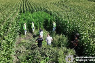 В Україні провели масштабну операцію Джентельмени