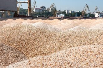 Україна продала мільйон тонн пшениці нового врожаю